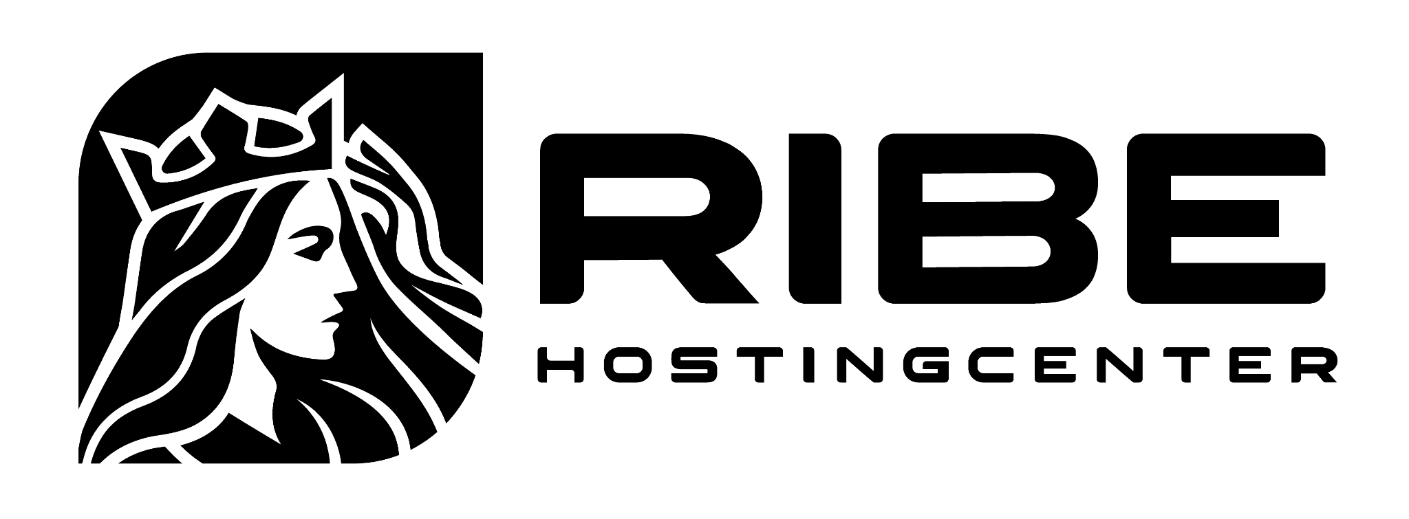 Ribe Hostingcenter